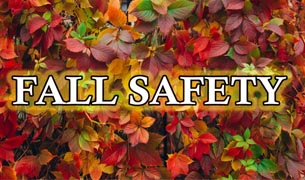 Link to Fall Safety page